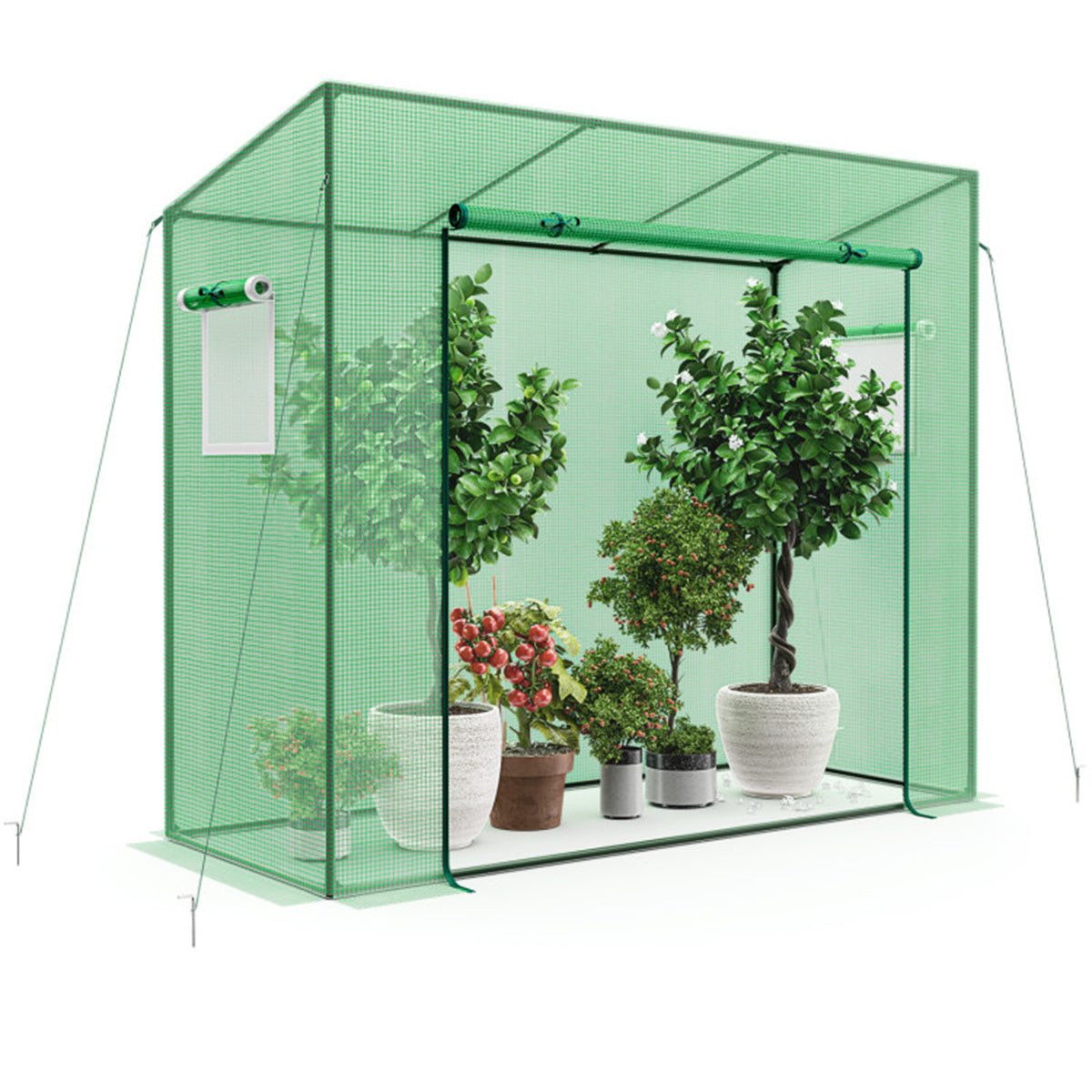 Outdoor Mini Greenhouse - MONLANE