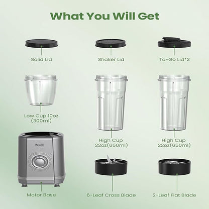 1000W Blender for Shakes and Smoothies - MONLANE