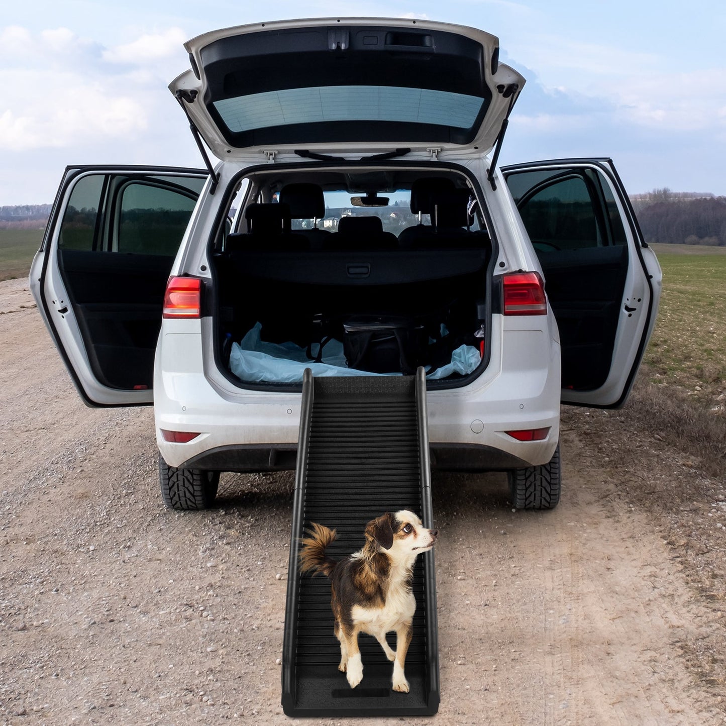 Portable Lightweight Pet Ramp - MONLANE
