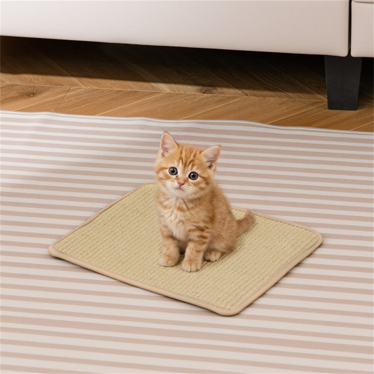 16 x 12 Inch Natural 6-Piece Cat Scratching Mats