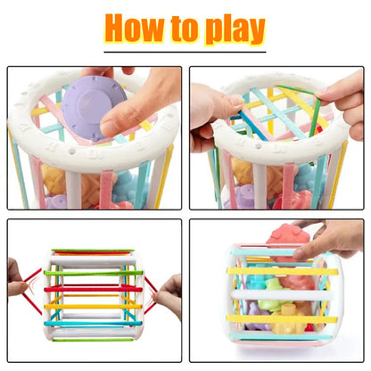 Montessori Sensory Development Educational Toys
