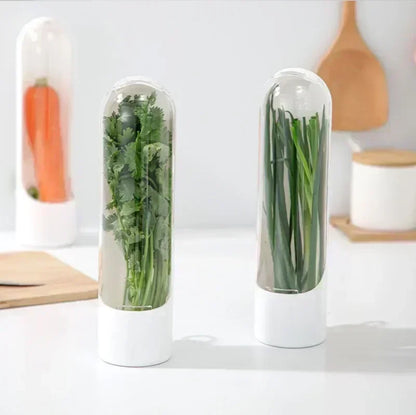 Refrigerator Herb Crisper Saver Container Vegetable
