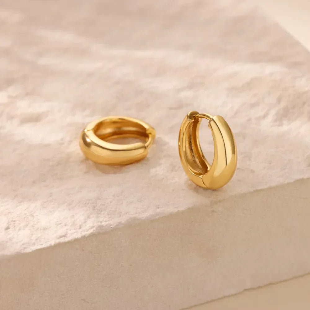 Classic Chunky Stainless Steel Hoop Earring