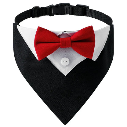 The Pawsh Pup Bandana