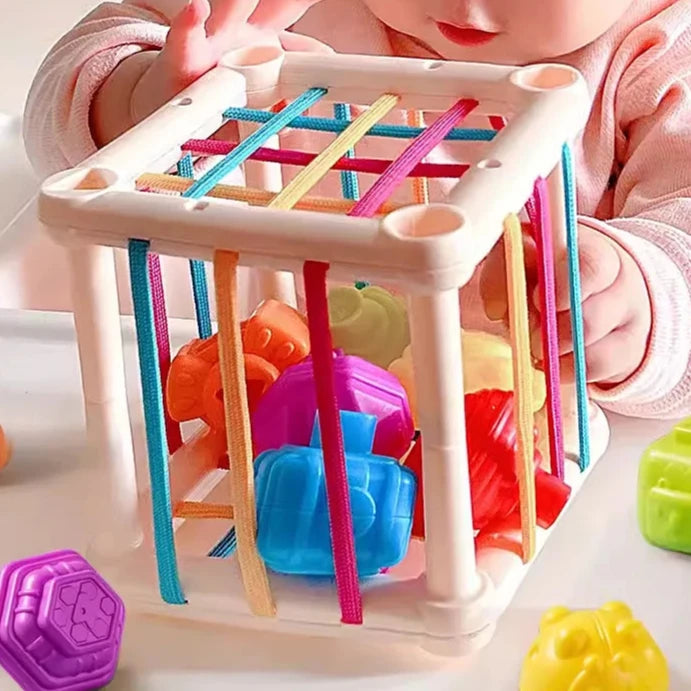 Montessori Sensory Development Educational Toys - MONLANE