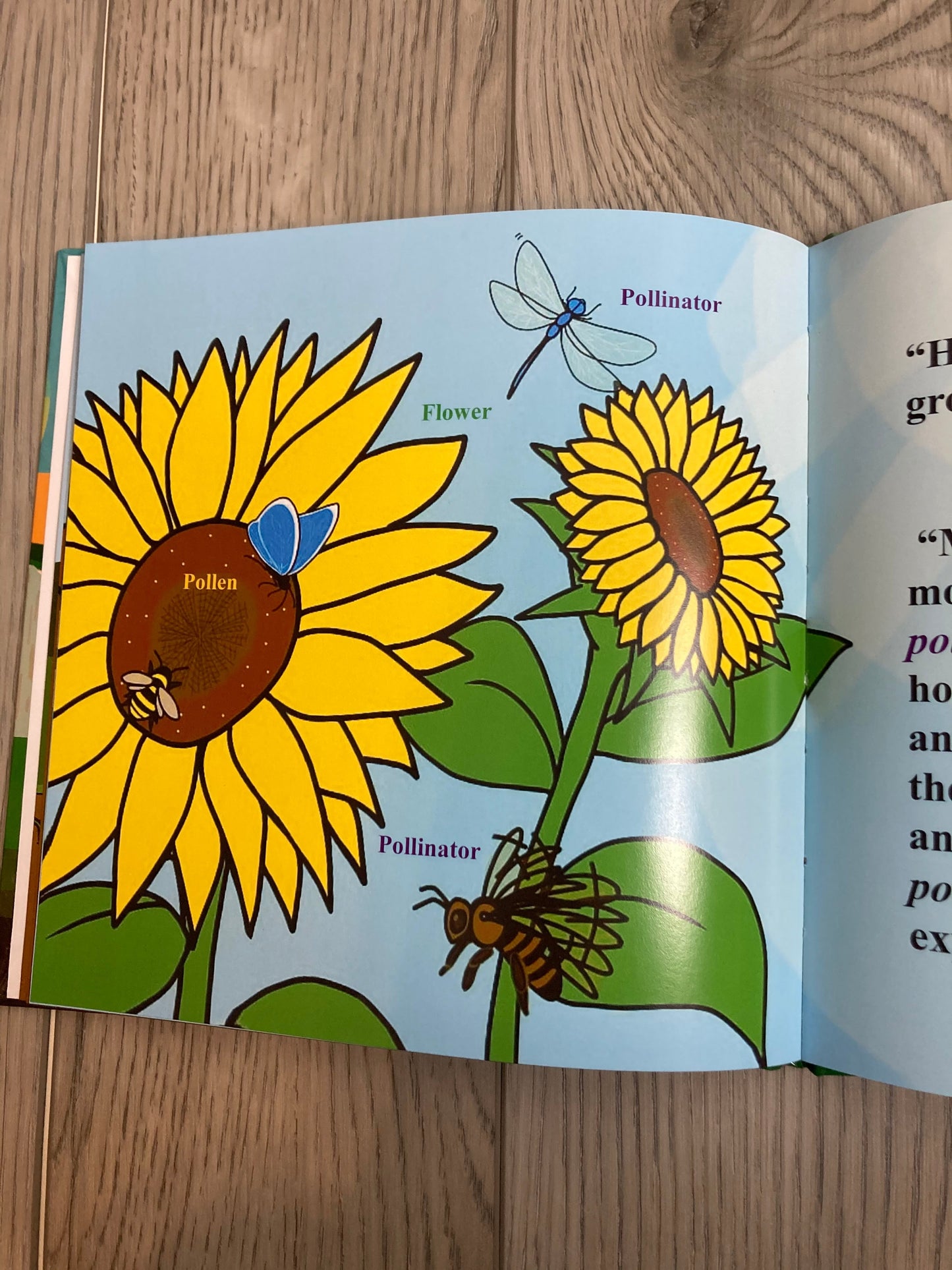 Imani Book bundle (Low Seas Adventure & Golden Life Of Sally Sunflower) Children's Science Books - MONLANE