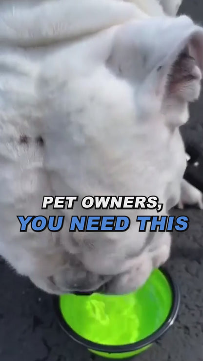 Portable Collapsible Pet Bowl