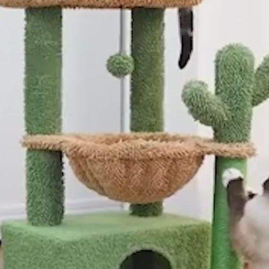 3 Cactus Cat Tree Cat Tower-h.mp4